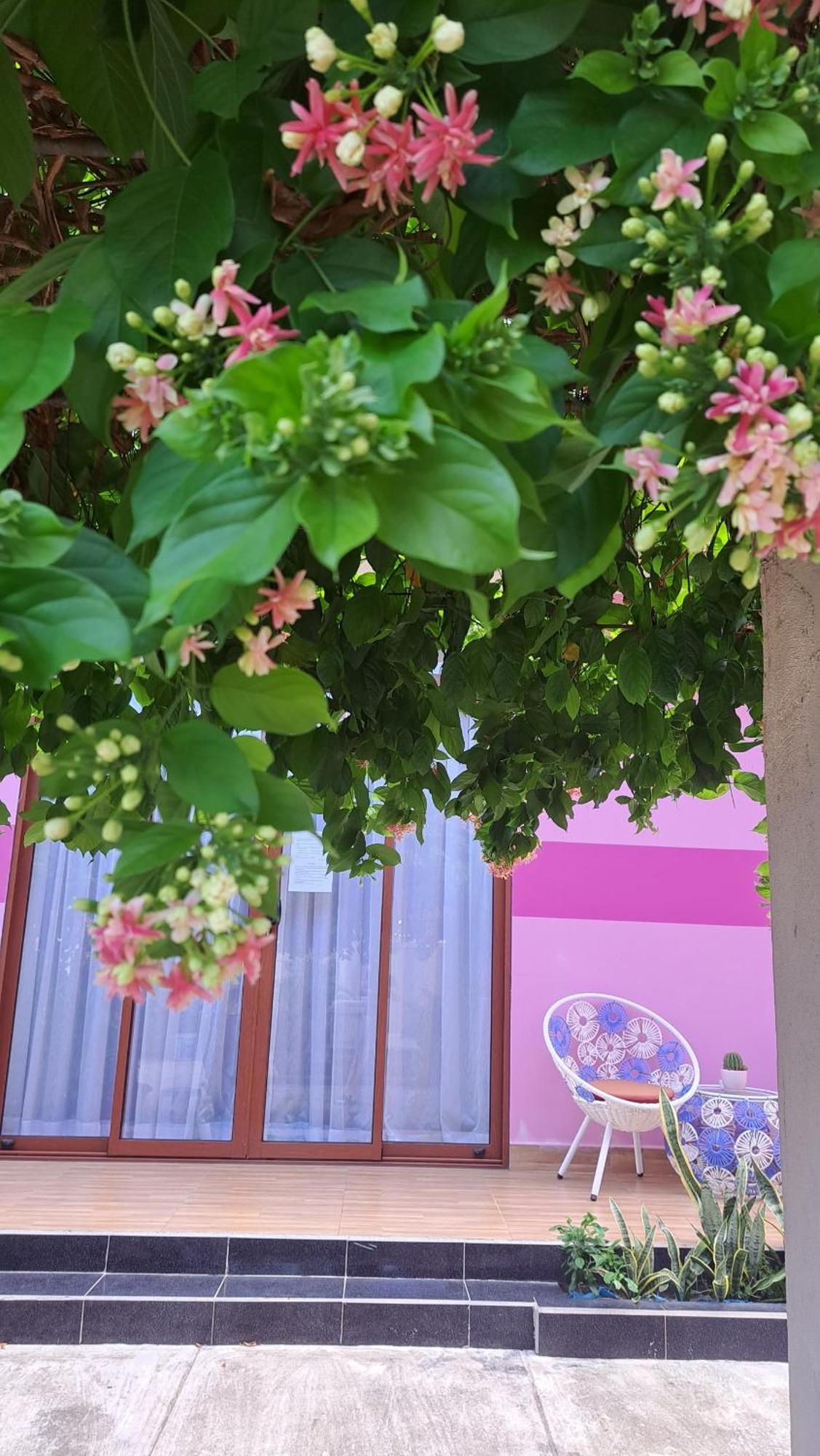 Pink House Homestay Hoi An Zewnętrze zdjęcie