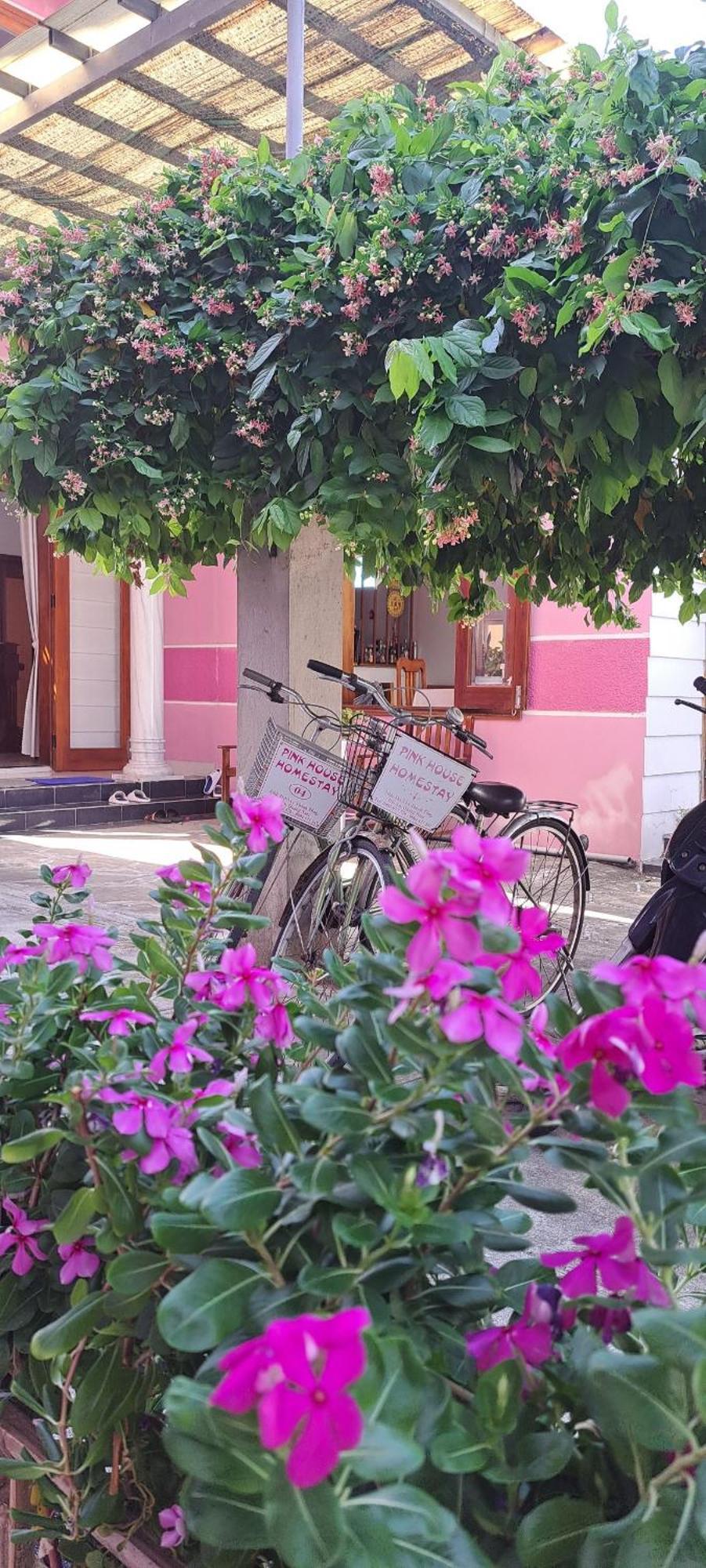 Pink House Homestay Hoi An Zewnętrze zdjęcie