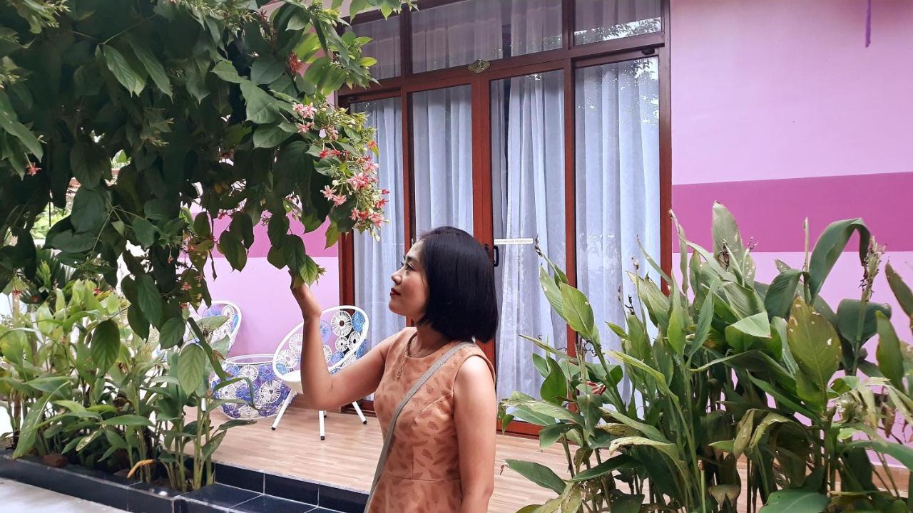 Pink House Homestay Hoi An Zewnętrze zdjęcie